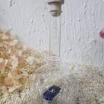 GLF1014 Edelglasflasche "Oldtimer" Porsche 356 Cabrio blau