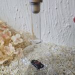 GLF1015 Edelglasflasche "Oldtimer" Porsche 356 Cabrio schwarz