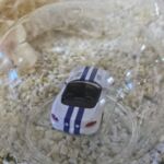 138855 Edelglasflasche mit "Corvette"