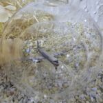 GLF1028 Edelglasflasche mit Flugzeug