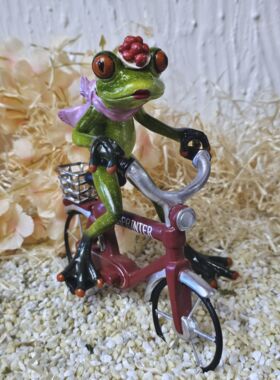Gl&uuml;cksfrosch Fahrradfahrer mit rotem Fahrrad