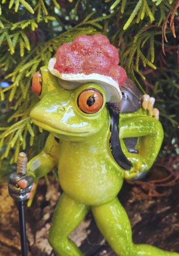 GLF2016 Gl&uuml;cksfrosch Wanderer mit rotem Bollenhut gro&szlig;