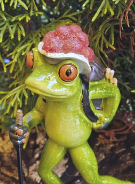 Gl&uuml;cksfrosch Wanderer mit rotem Bollenhut gro&szlig;