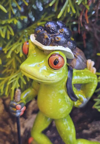 GLF2017 Gl&uuml;cksfrosch Wanderer mit schwarzem Bollenhut gro&szlig;3