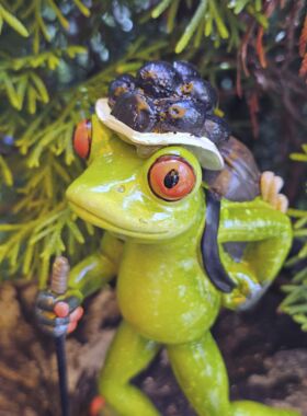 Gl&uuml;cksfrosch Wanderer mit schwarzem Bollenhut gro&szlig;3