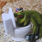 GLF2024 Gl&uuml;cksfrosch After Party-Frosch