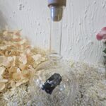 GLF1030 Edelglasflasche Mitzubishi Pajero schwarz