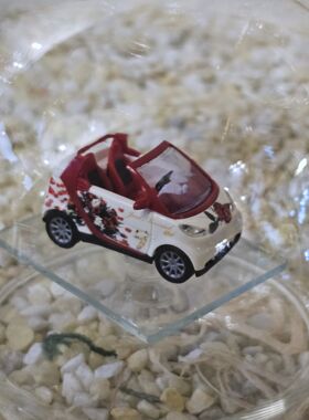 Edelglasflasche Smart Rosendesigne