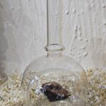 GLF1043 Edelglasflasche mit Ford Cabri