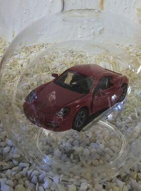 Edelglasflasche mit Porsche Cayman