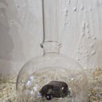 GLF1057 Edelglasflasche mit Wohnwagen Oltimer