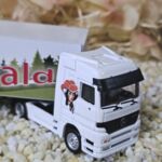 MFZ1001 LKW Sammlertruck Mercedes Actros weiss