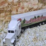 MFZ1008 US-Truck wei&szlig; Schwarzwald