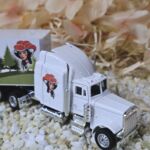 MFZ1008 US-Truck wei&szlig; Schwarzwald