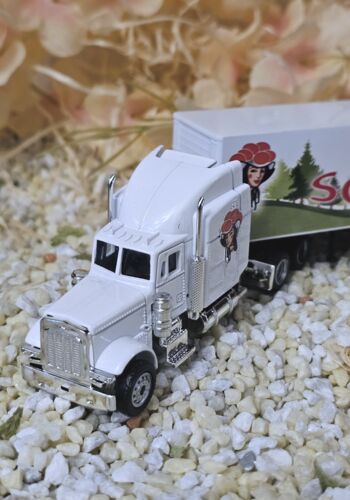 MFZ1008 US-Truck wei&szlig; Schwarzwald