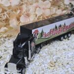 MFZ1009 US-Truck schwarz Schwarzwald