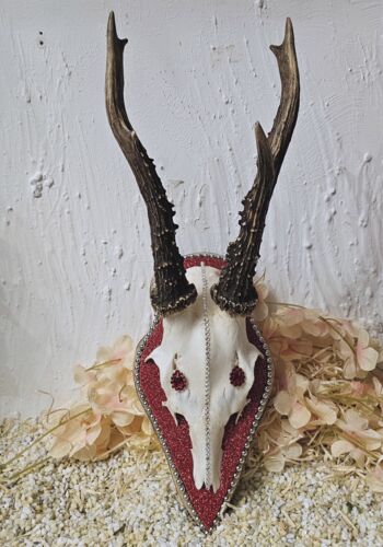 RH&Ouml;1003 Rehh&ouml;rnle Baden-Baden