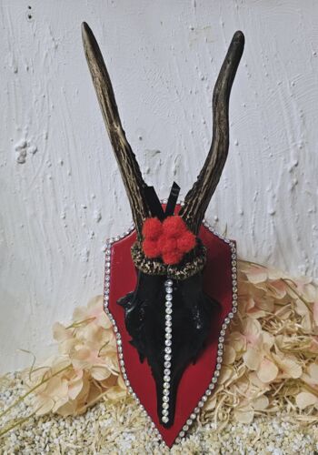 RH&Ouml;1004 Rehh&ouml;rnle "Todtnau