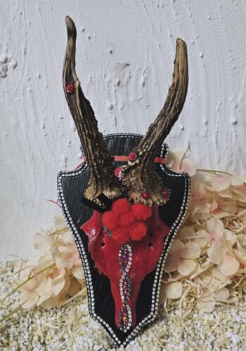 RH&Ouml;1005 Rehh&ouml;rnle "Freiburg