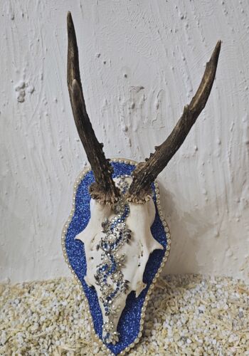 RH&Ouml;1006 Rehh&ouml;rnle Villingen