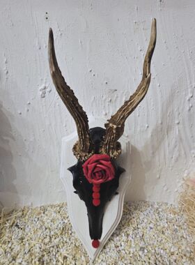 Rehh&ouml;rnle "Balingen"