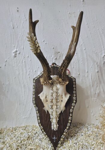 RH&Ouml;1009 Rehh&ouml;rnle "Hinterzarten"