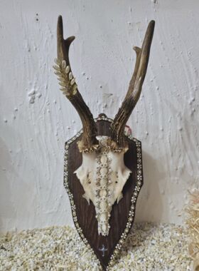 Rehh&ouml;rnle "Hinterzarten"