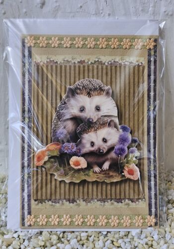 HK10008 Designerkarte mit Igel 8