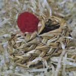 STS1000 Strohschuh Donaueschingen 5 cm