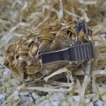 STS1001 Strohschuhe mit Klipp und Nadel 5cm