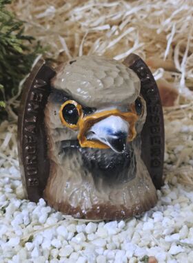 Burgfalken Strassberg