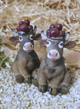 Schwarzwaldk&uuml;he sitzend 2 St&uuml;ck