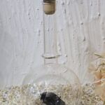 GLF1038 Edelglasflasche mit BMW 7er